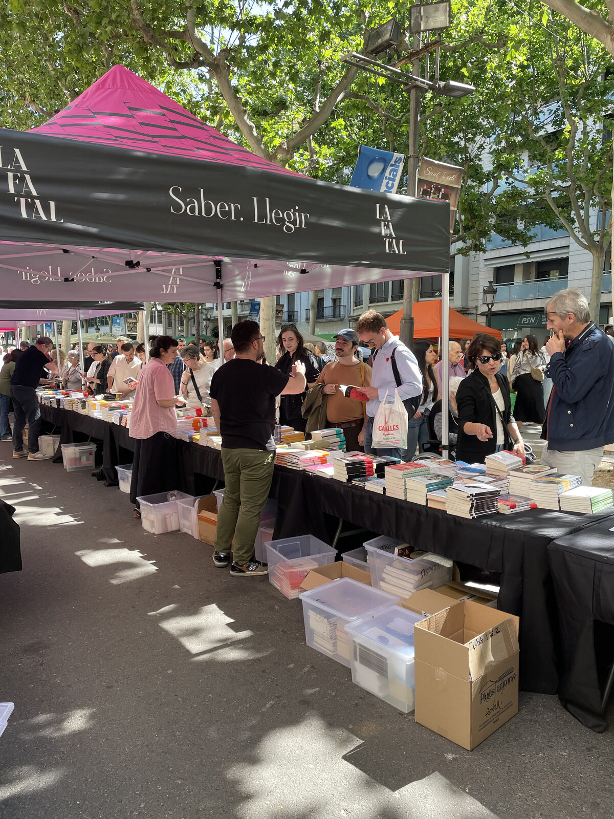 Parades de llibres de la diada de Sant Jordi a Lleida