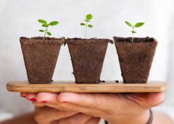 PST 2ªPART  SABIES QUE…