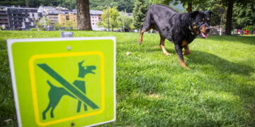 Andorra la Vella imposa 77 sancions per incivisme a la via pública el 2025