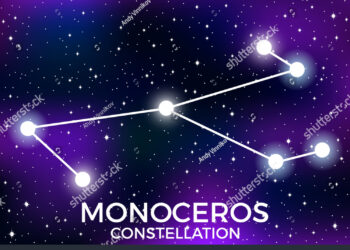 PST Nº2.921 L’UNIVERS MIRALLES