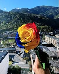 PST Nº 2.959  CULTUREJANT AMB SANT JORDI